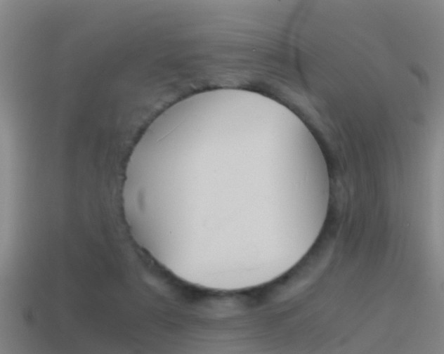 X0000114410307200910161038
