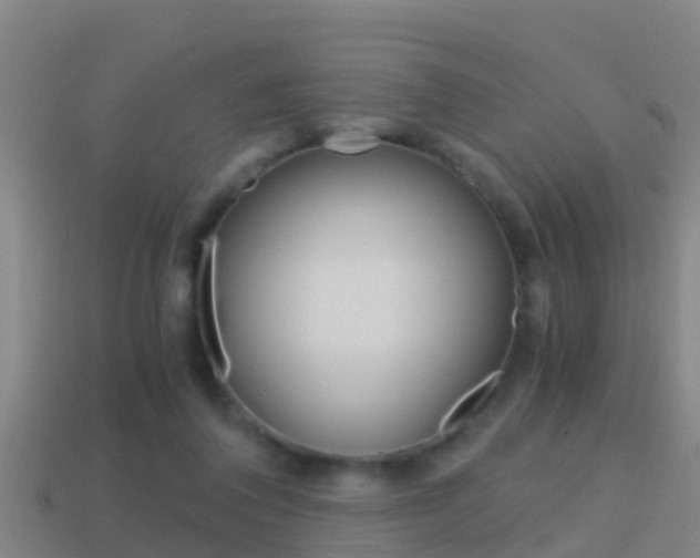 X0000114410308200910161038