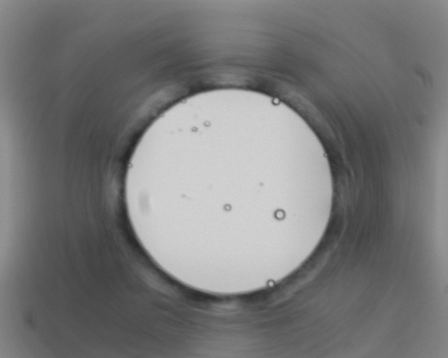 X0000114410309200910161038
