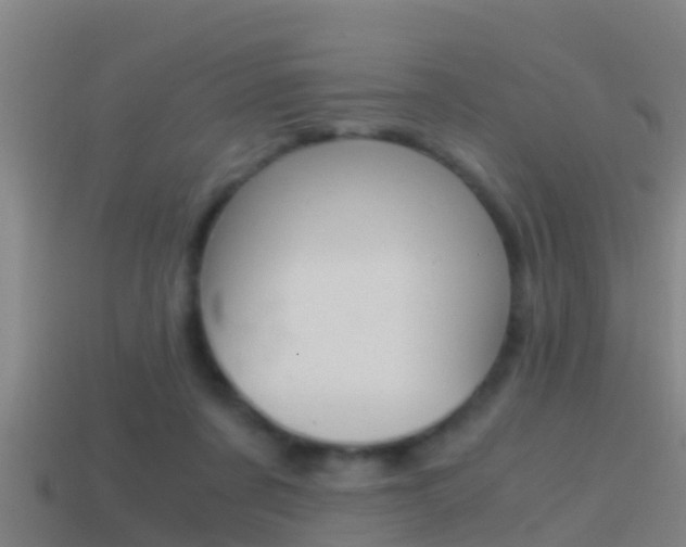 X0000114410311200910161037