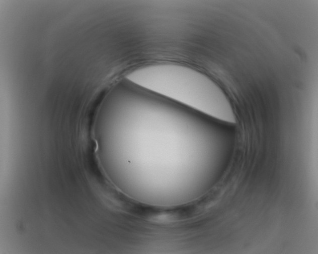 X0000114410312200910161037
