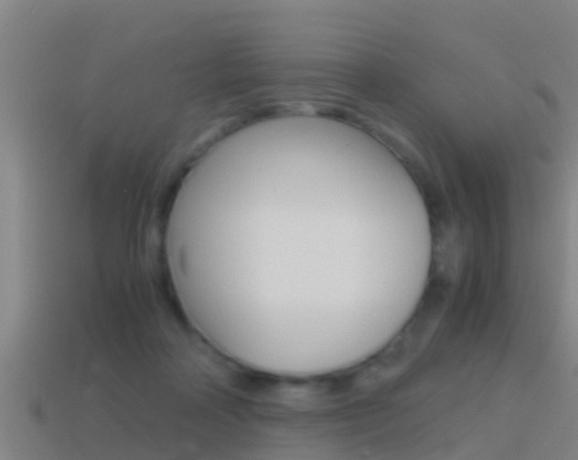 X0000114410314200910161037