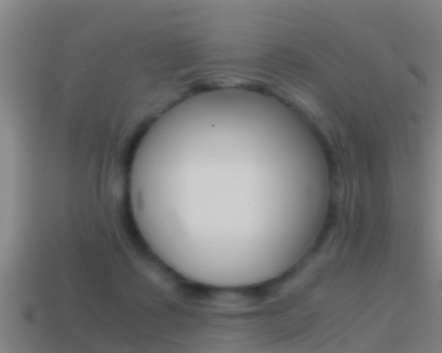 X0000114410315200910161037