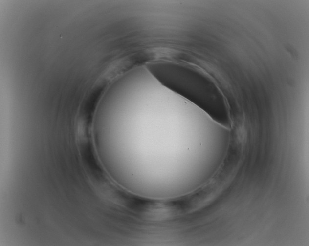 X0000114410316200910161037