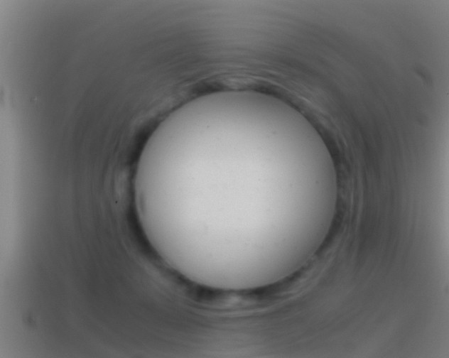 X0000114410319200910161037