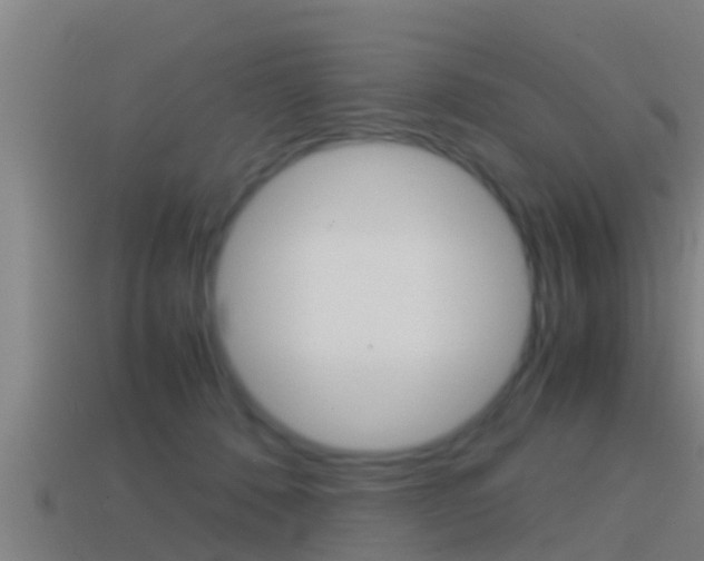 X0000114410320200910161037