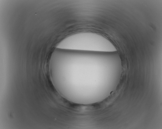 X0000114410323200910161037