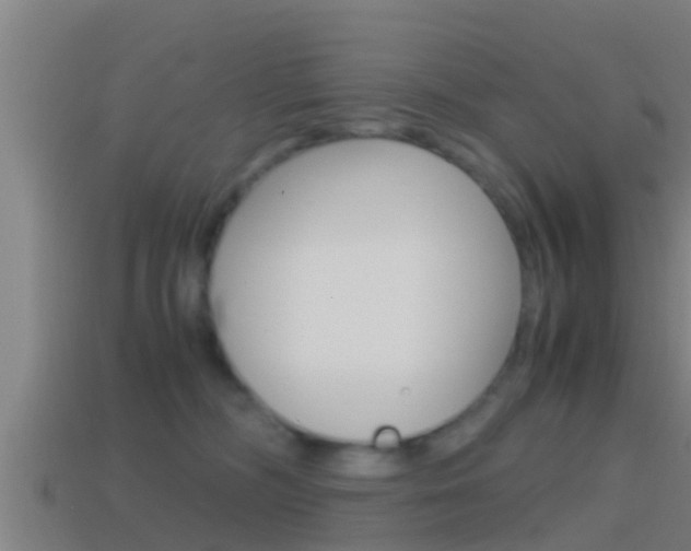 X0000114410326200910161037