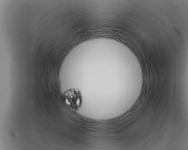 X0000114410328200910161037