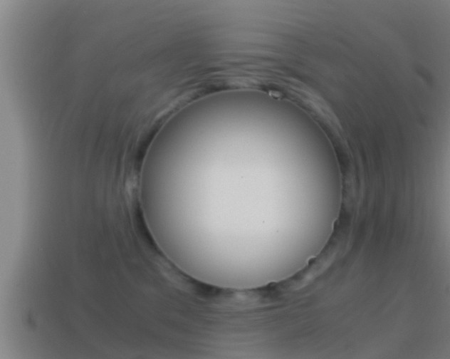 X0000114410329200910161037