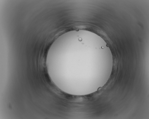 X0000114410330200910161037