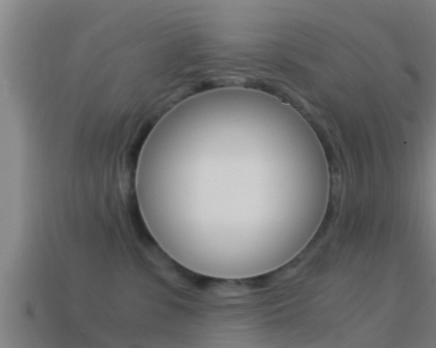 X0000114410331200910161037