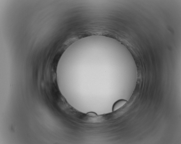 X0000114410334200910161037