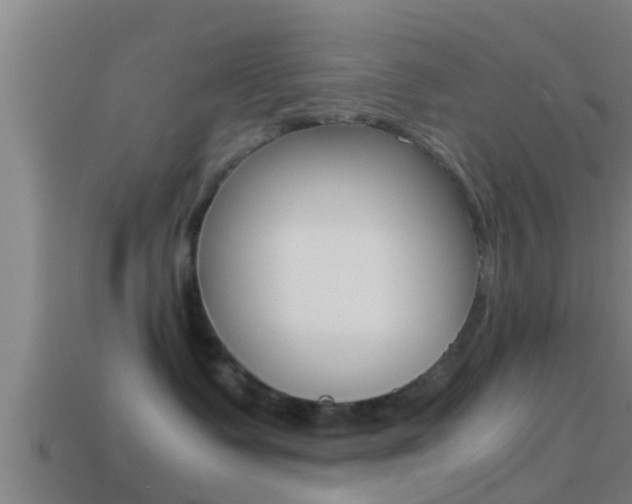 X0000114410335200910161037