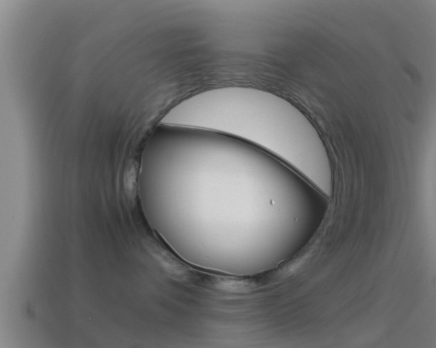 X0000114410336200910161037