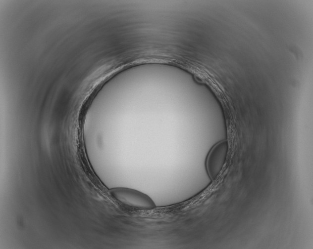 X0000114410338200910161037
