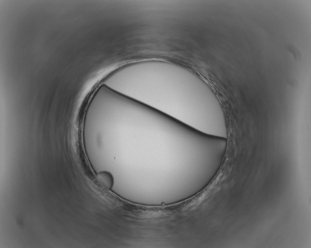 X0000114410342200910161037