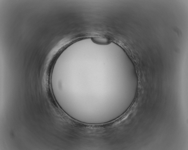 X0000114410343200910161037
