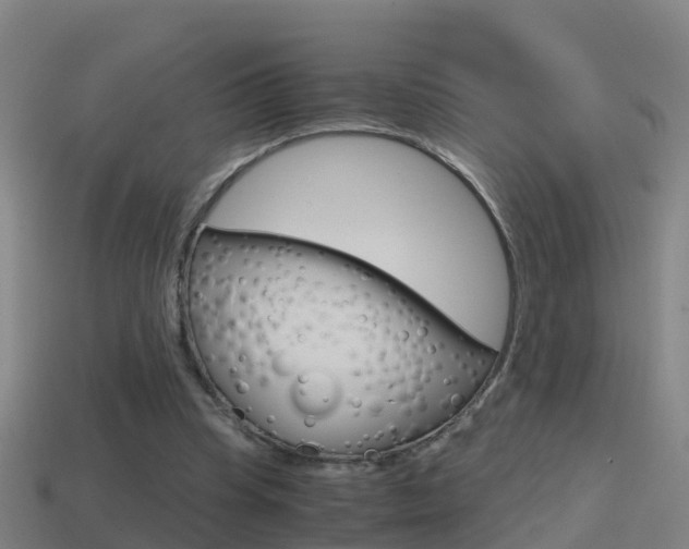 X0000114410345200910161037