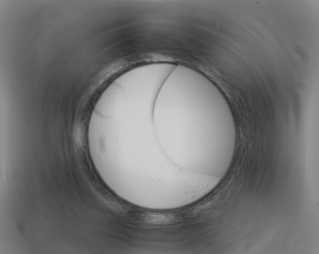 X0000114410347200910161037