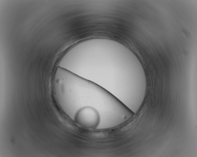 X0000114410349200910161037
