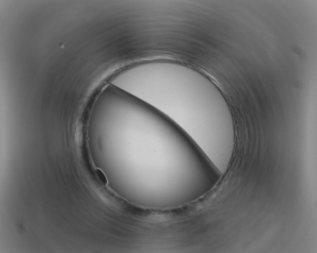 X0000114410350200910161037