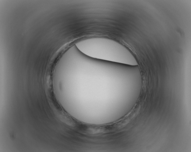X0000114410351200910161037
