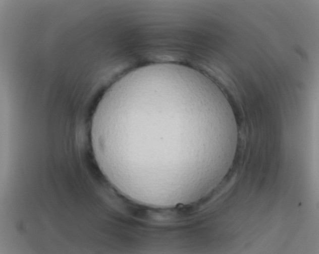 X0000114410359200910161037