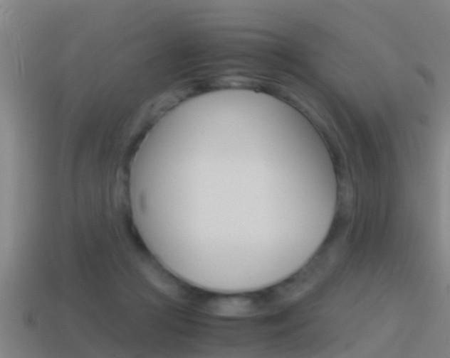 X0000114410361200910161037