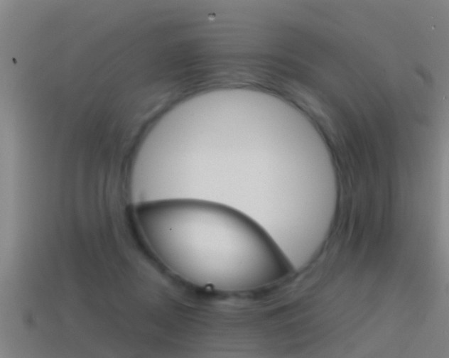 X0000114410362200910161037