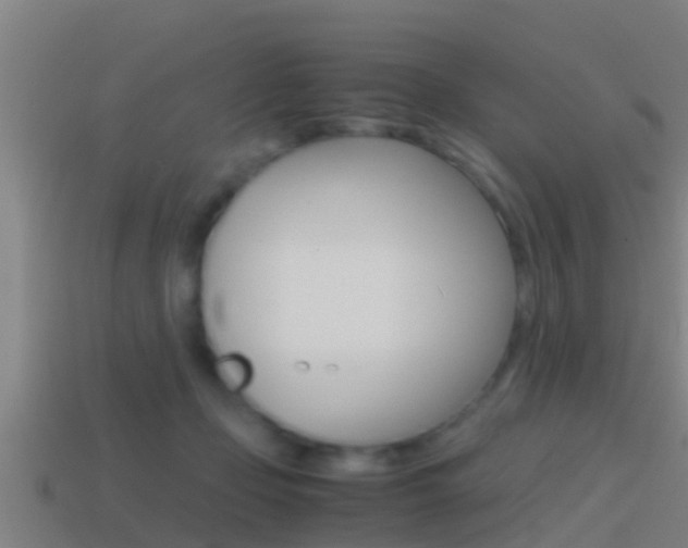 X0000114410365200910161037