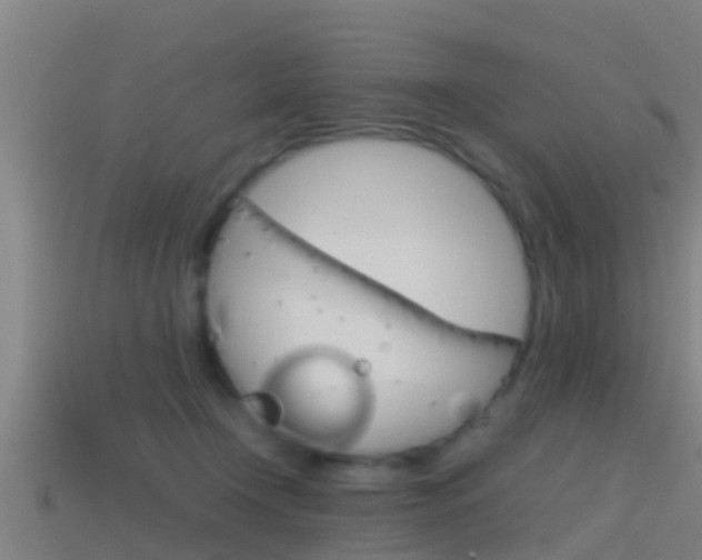 X0000114410366200910161037