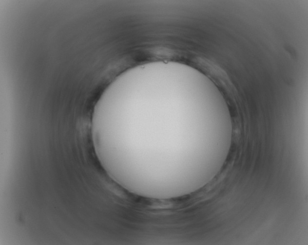 X0000114410369200910161037