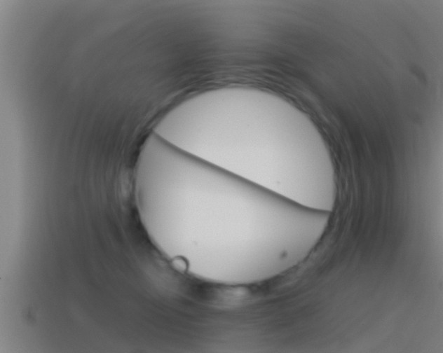 X0000114410374200910161037