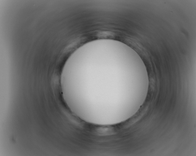 X0000114410375200910161037