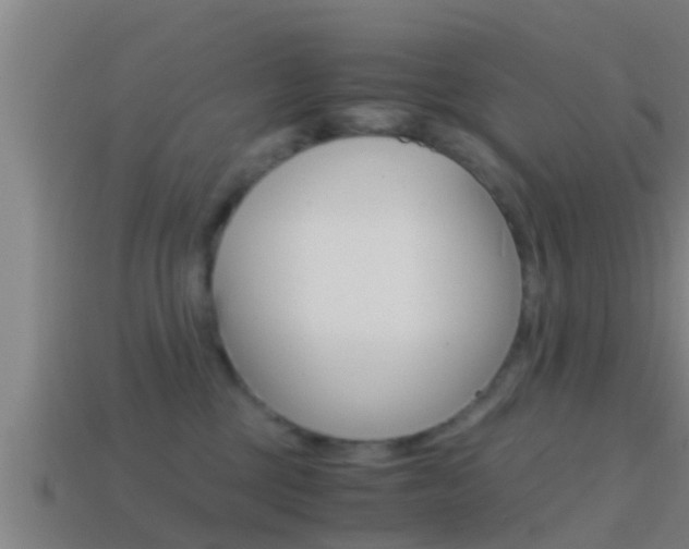 X0000114410377200910161037