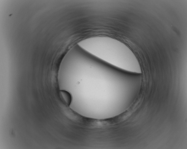 X0000114410379200910161037