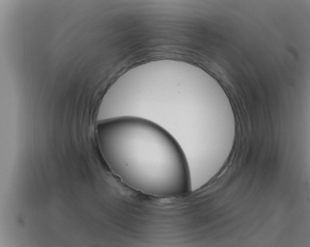 X0000114410382200910161037