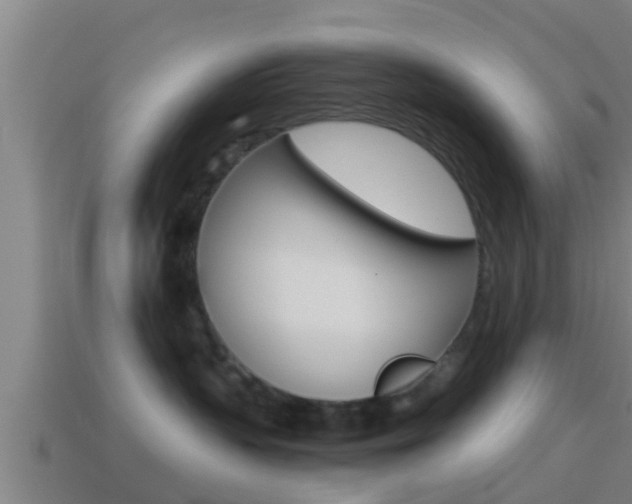 X0000114410383200910161037