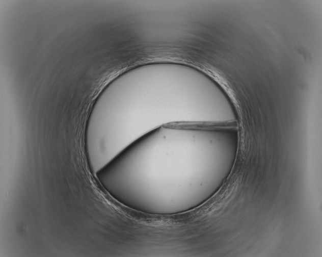 X0000114410385200910161037