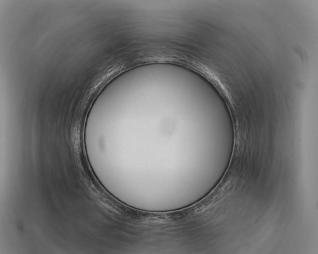 X0000114410386200910161037