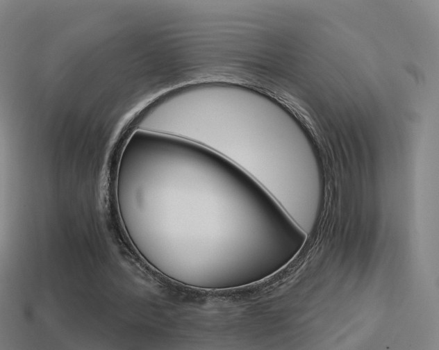 X0000114410388200910161037