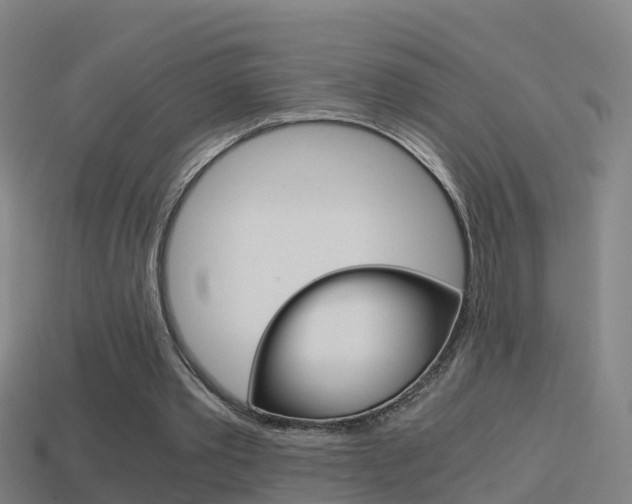 X0000114410389200910161037
