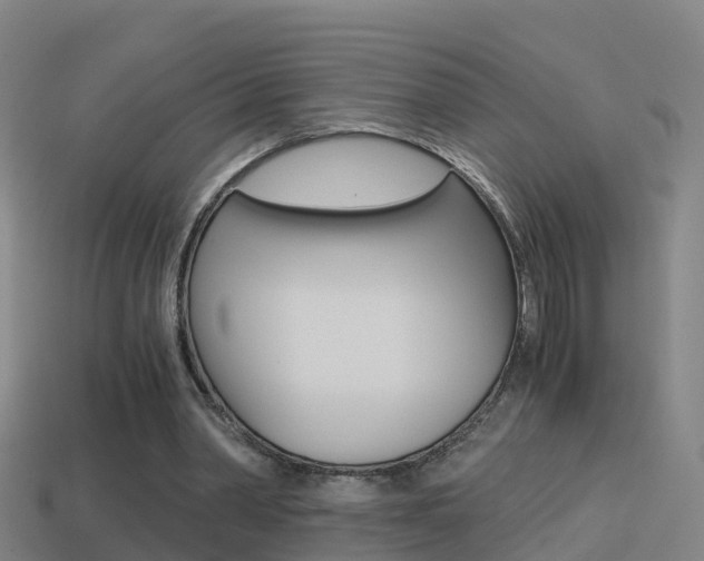X0000114410390200910161036