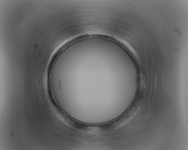 X0000114410391200910161036