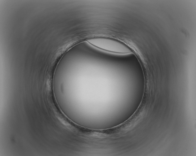 X0000114410393200910161036