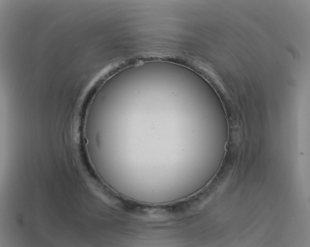 X0000114410395200910161036
