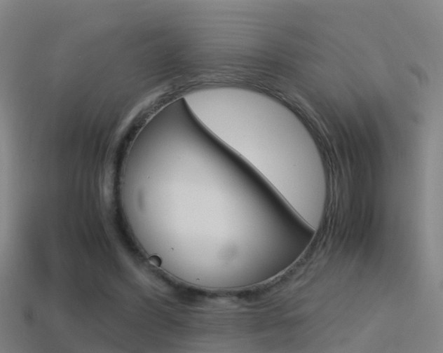 X0000114410396200910161036