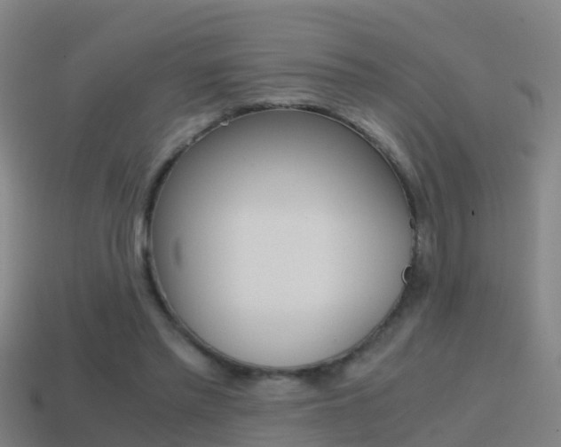 X0000114410397200910161036