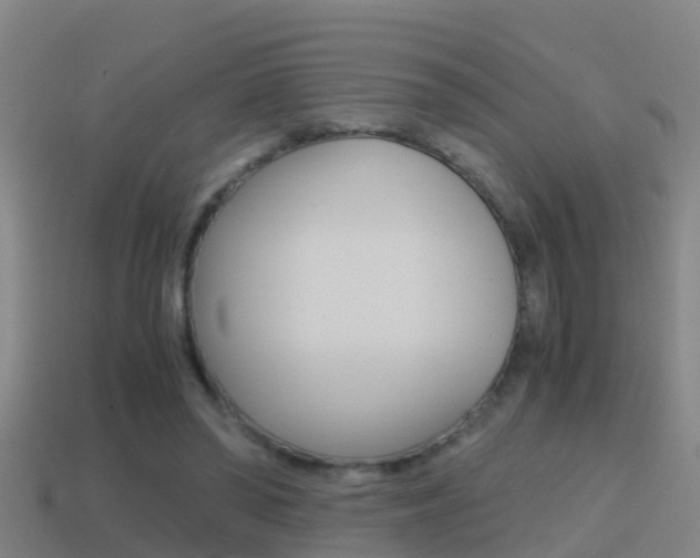 X0000114410398200910161036